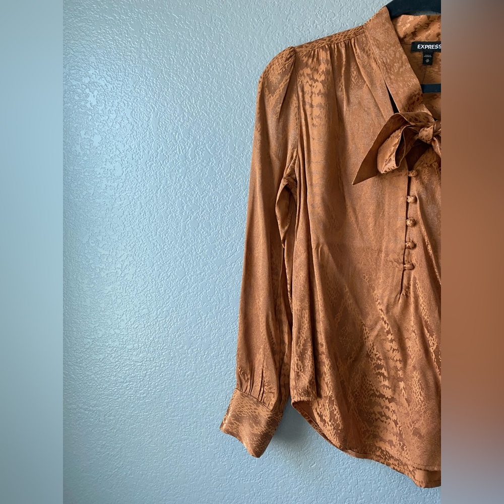 Express buttoned down blouse - Picture 4 of 8